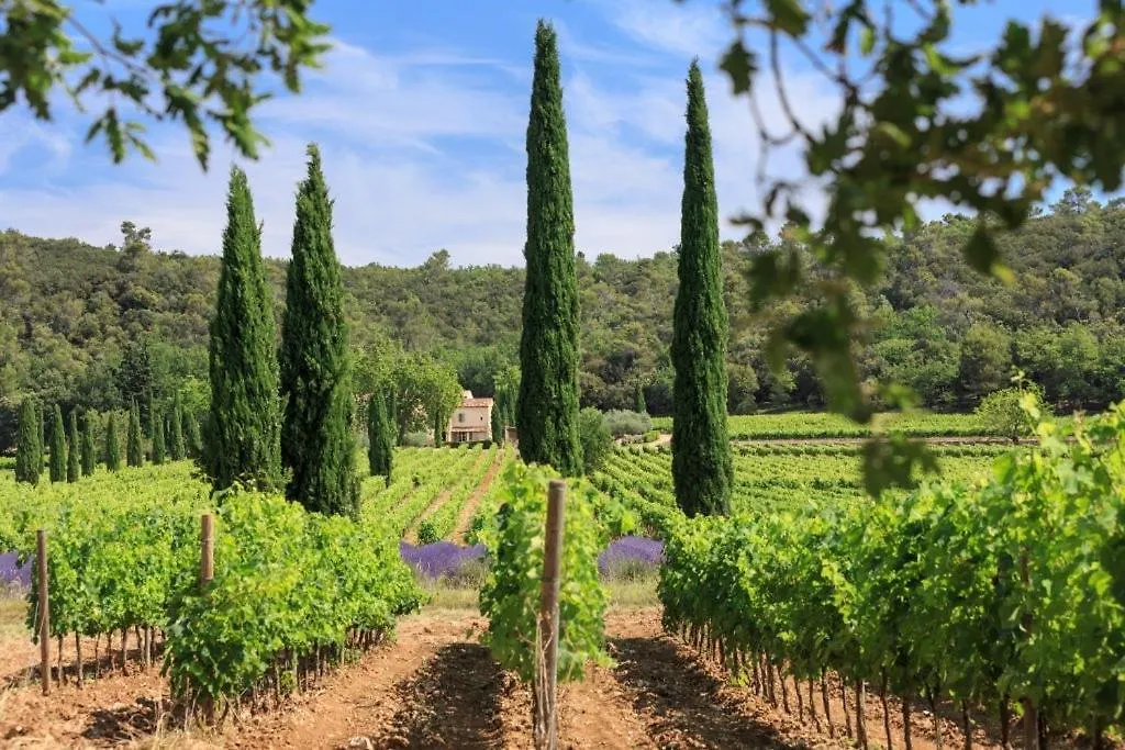 « Carpe Diem » Aix-en-Provence