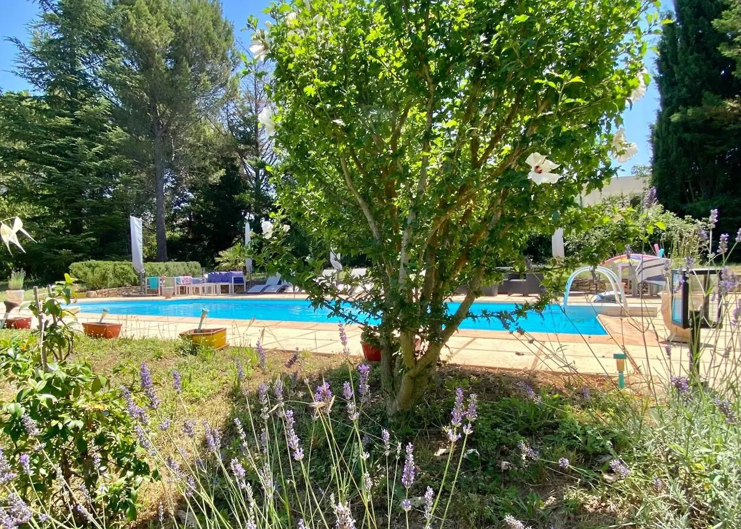 « Carpe Diem » Aix-en-Provence Bed & Breakfast